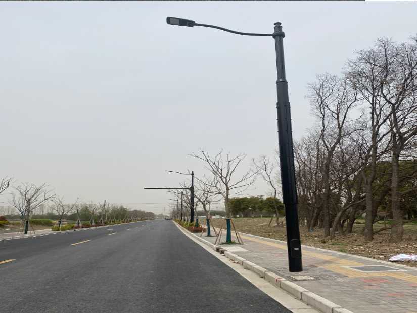 大新县上海综合杆 太阳能路灯工程